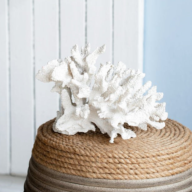 Hydra Coral Decorative Sculpture - White