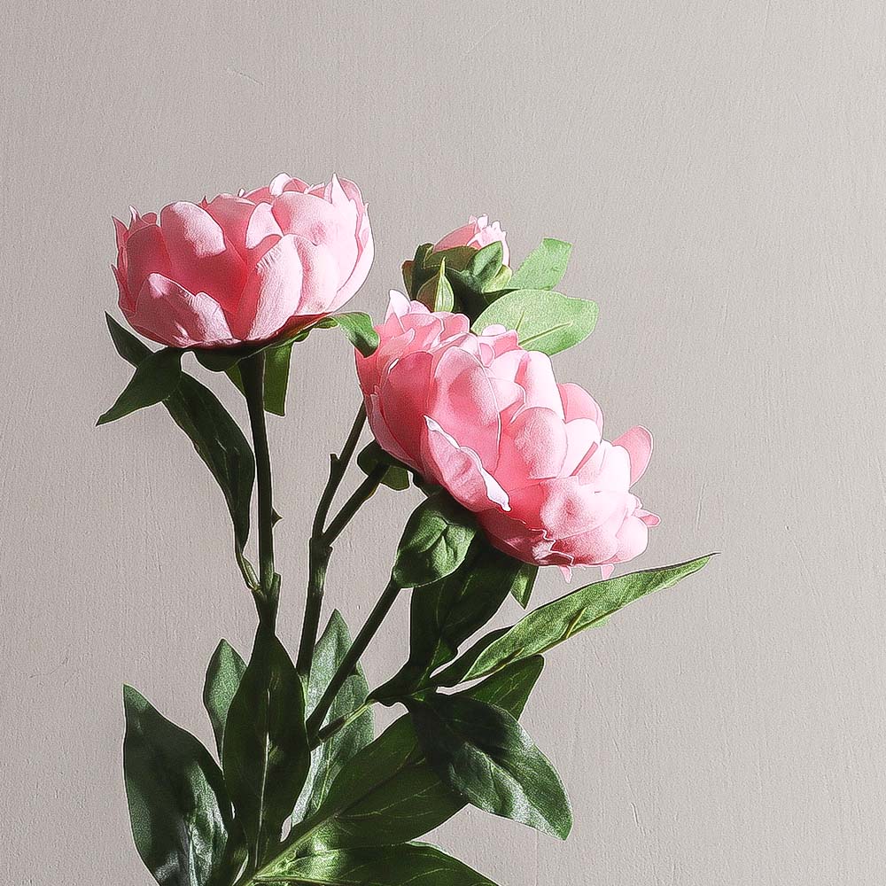 Itoh Peony Faux Stem - Dark Pink