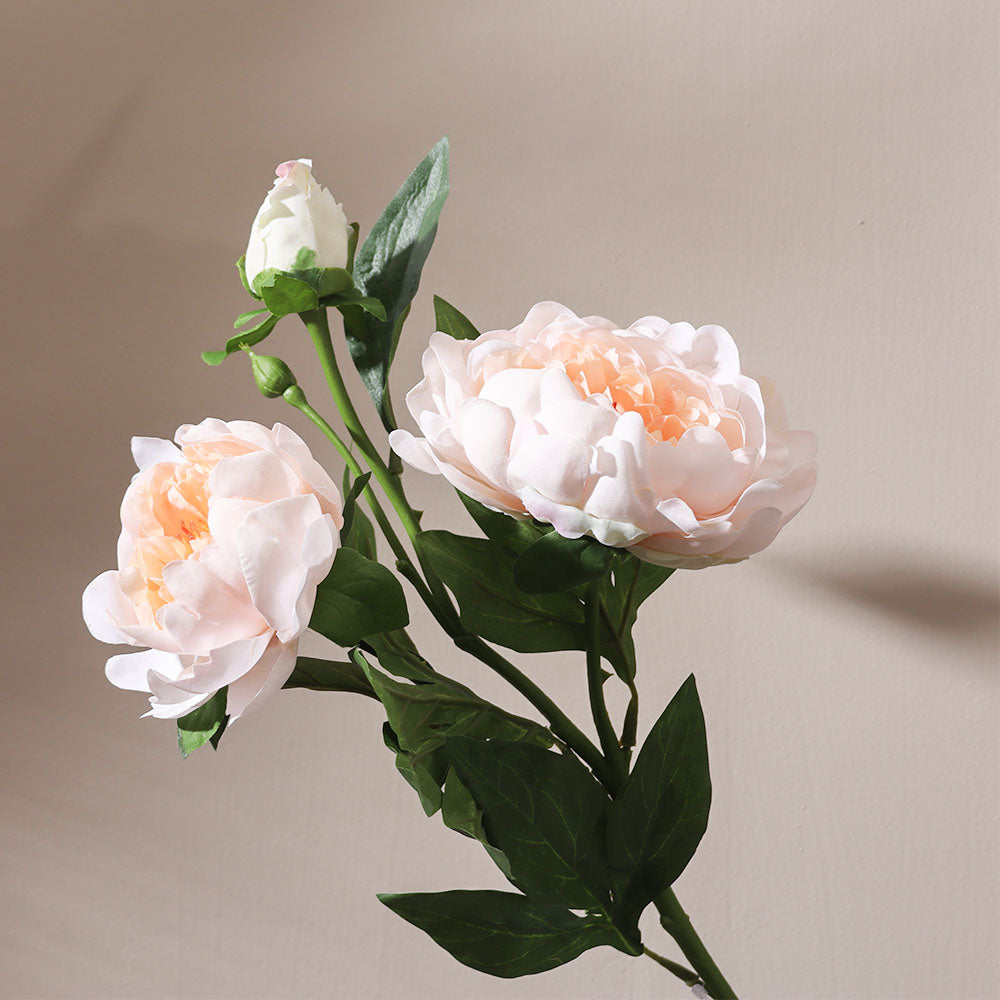 Itoh Peony Faux Stem - Peach Ivory
