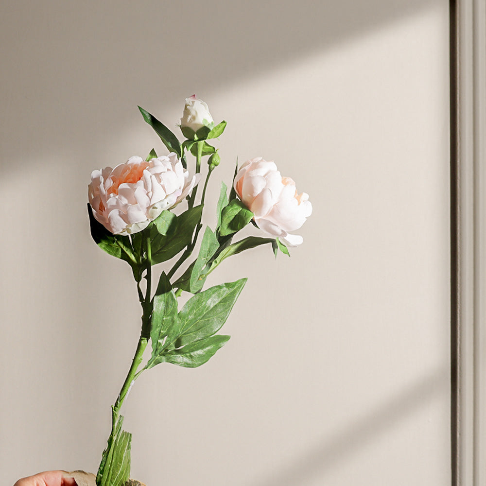 Itoh Peony Faux Stem - Peach Ivory