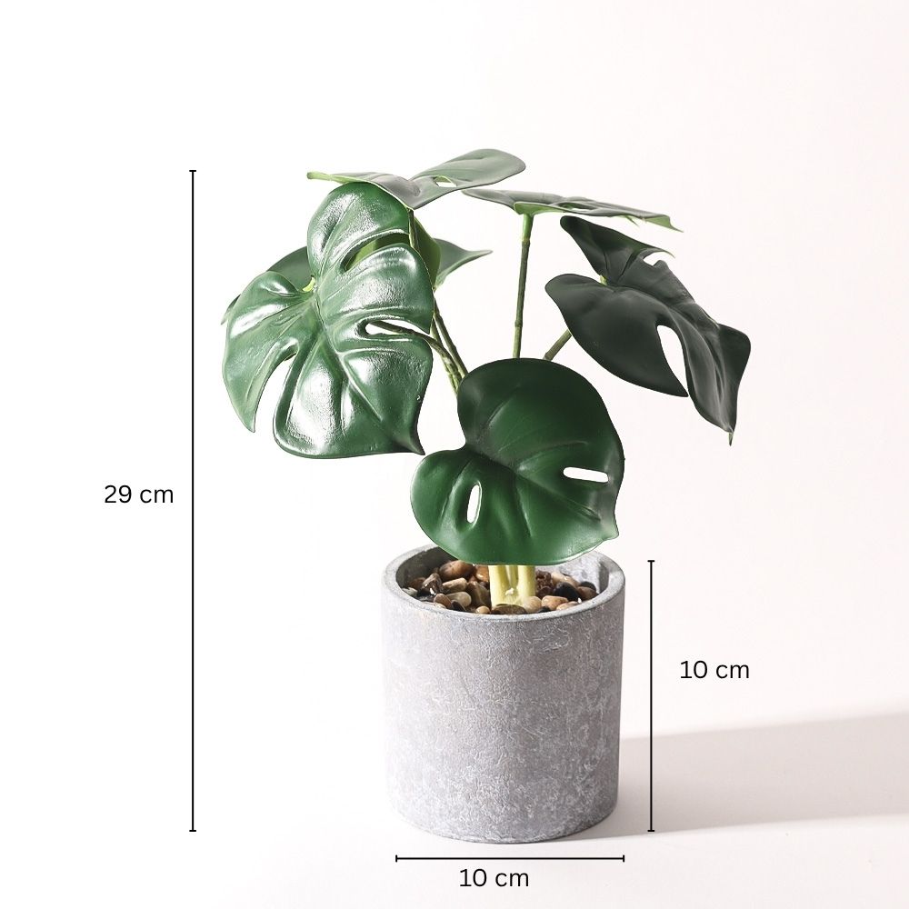 Monstera Deliciosa Artificial Potted Plant - Mini