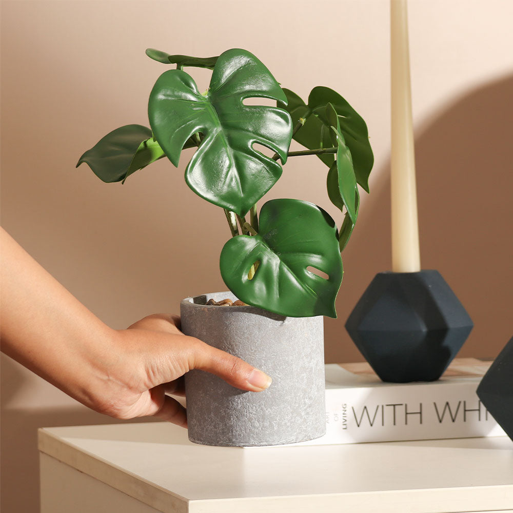 Monstera Deliciosa Artificial Potted Plant - Mini