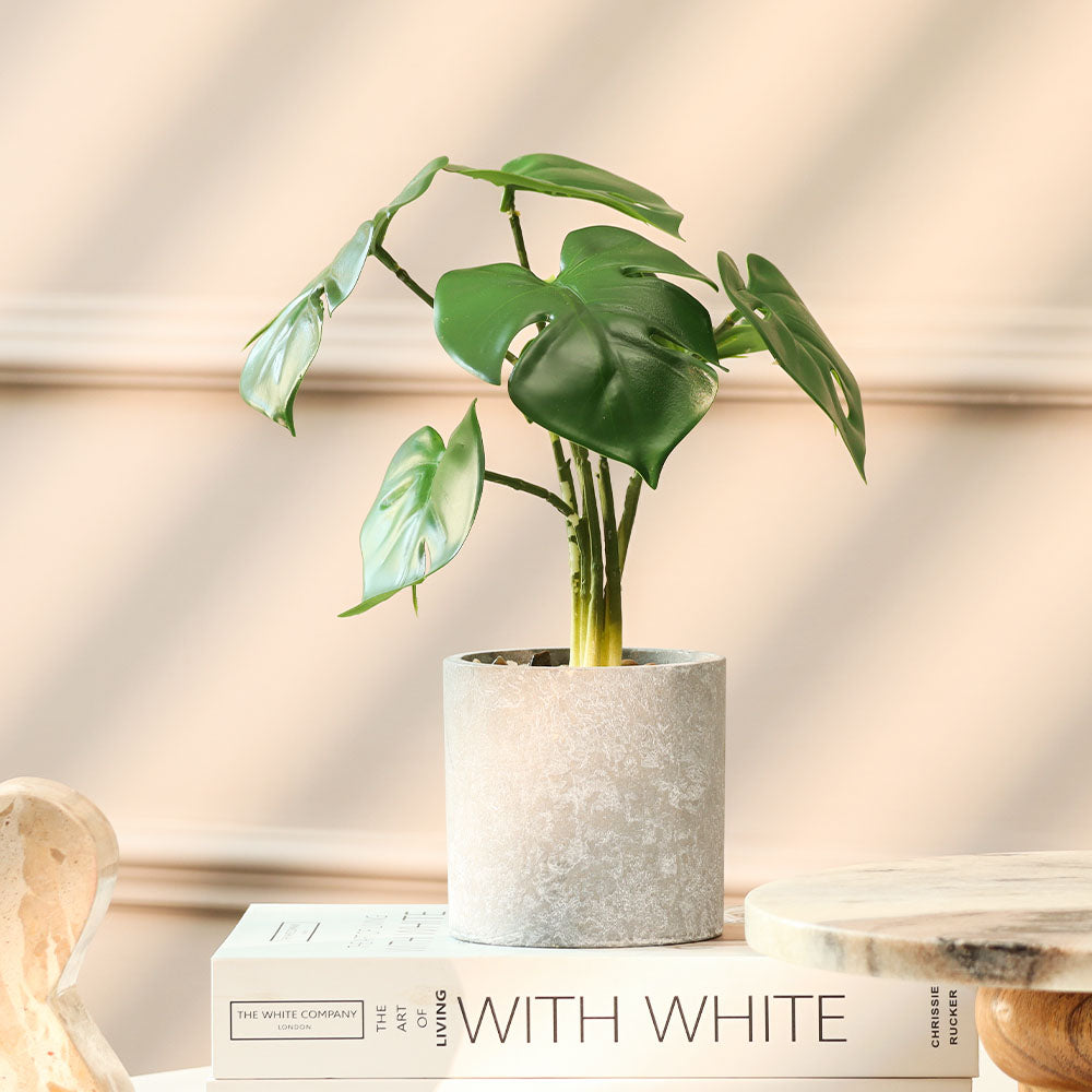 Monstera Deliciosa Artificial Potted Plant - Mini