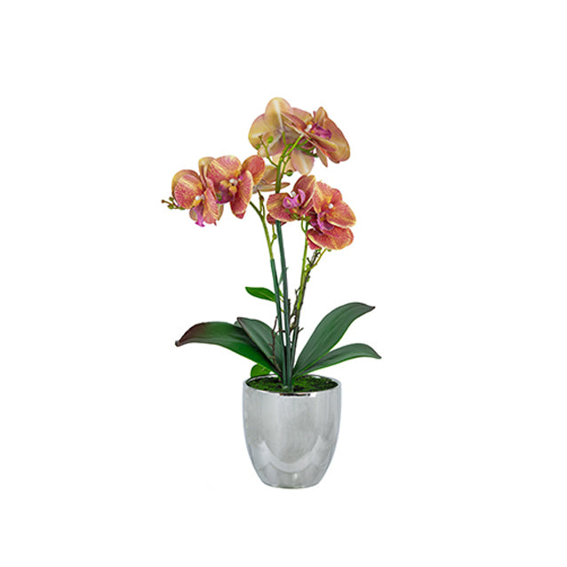 Orchid Artificial Potted Plant - Medium