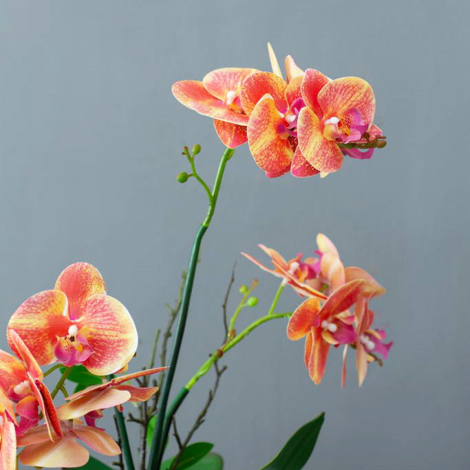 Orchid Artificial Potted Plant - Medium