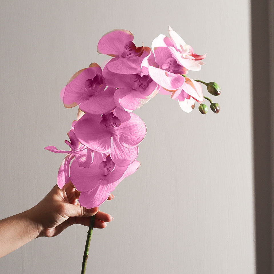 Phalaenopsis Orchid Faux Stem - Pink