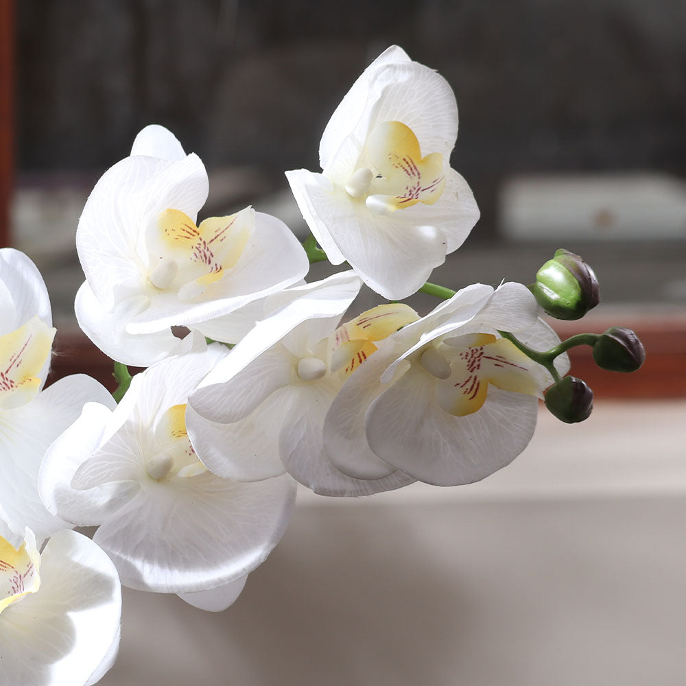 Phalaenopsis Orchid Faux Stem - Ivory