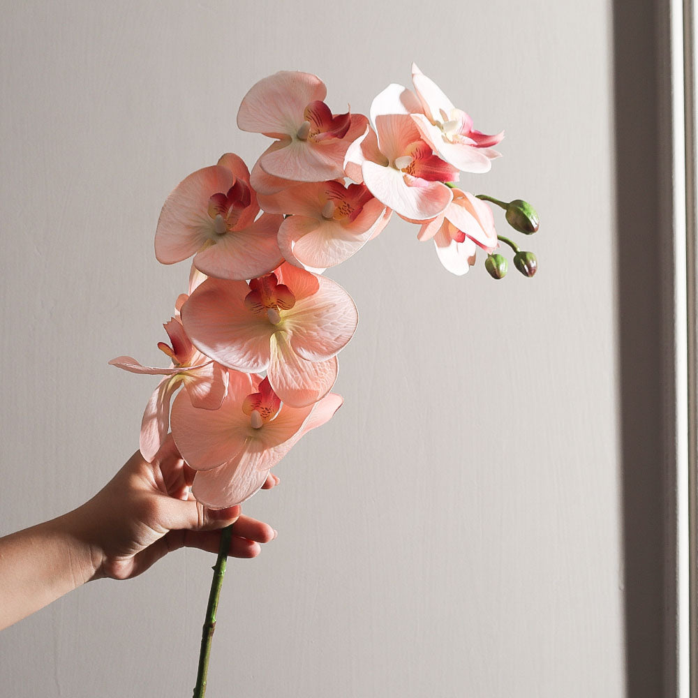 Phalaenopsis Orchid Faux Stem - Peach