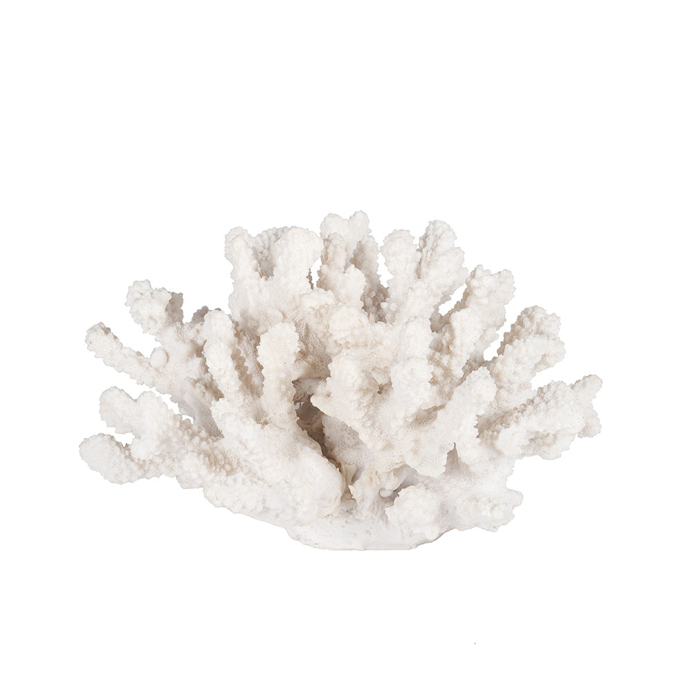 Ocean Coral Decorative Sculpture - White