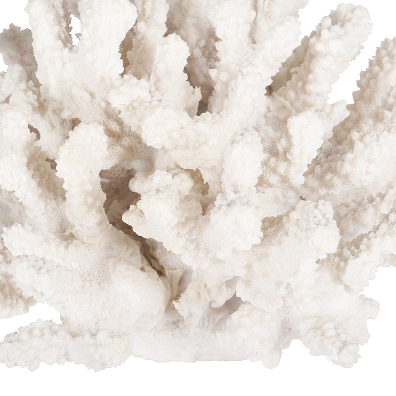 Ocean Coral Decorative Sculpture - White