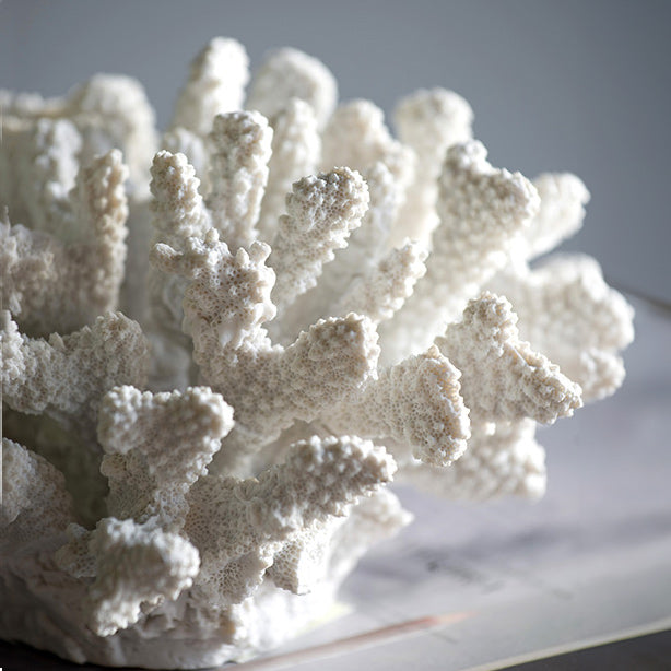Ocean Coral Decorative Sculpture - White