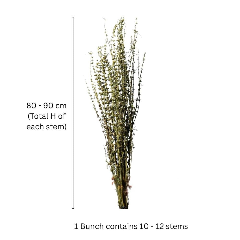 Palam Dried Bunch - Green