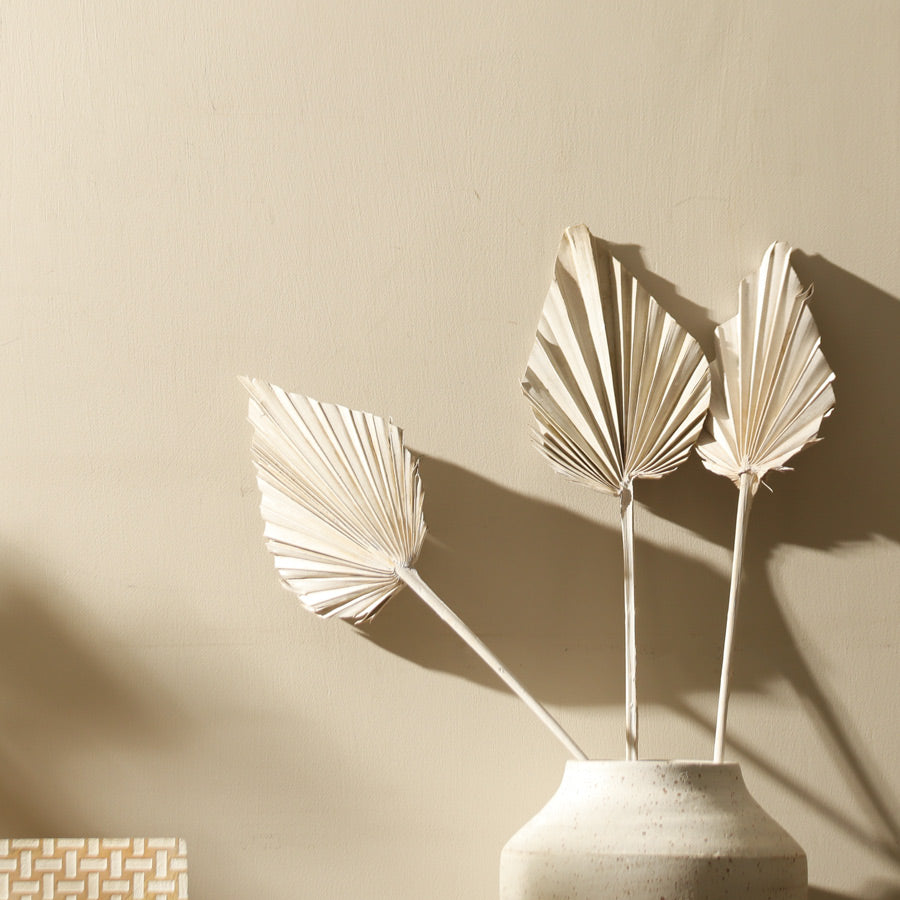 Palm Spear Bunch - White