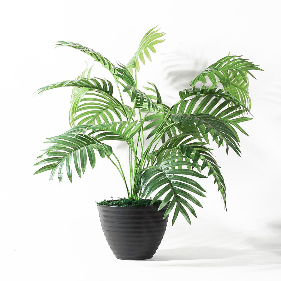 Parlor Palm Artificial Potted Plant - Medium