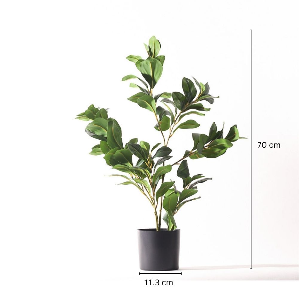 Peperomia Artificial Potted Plant - Medium