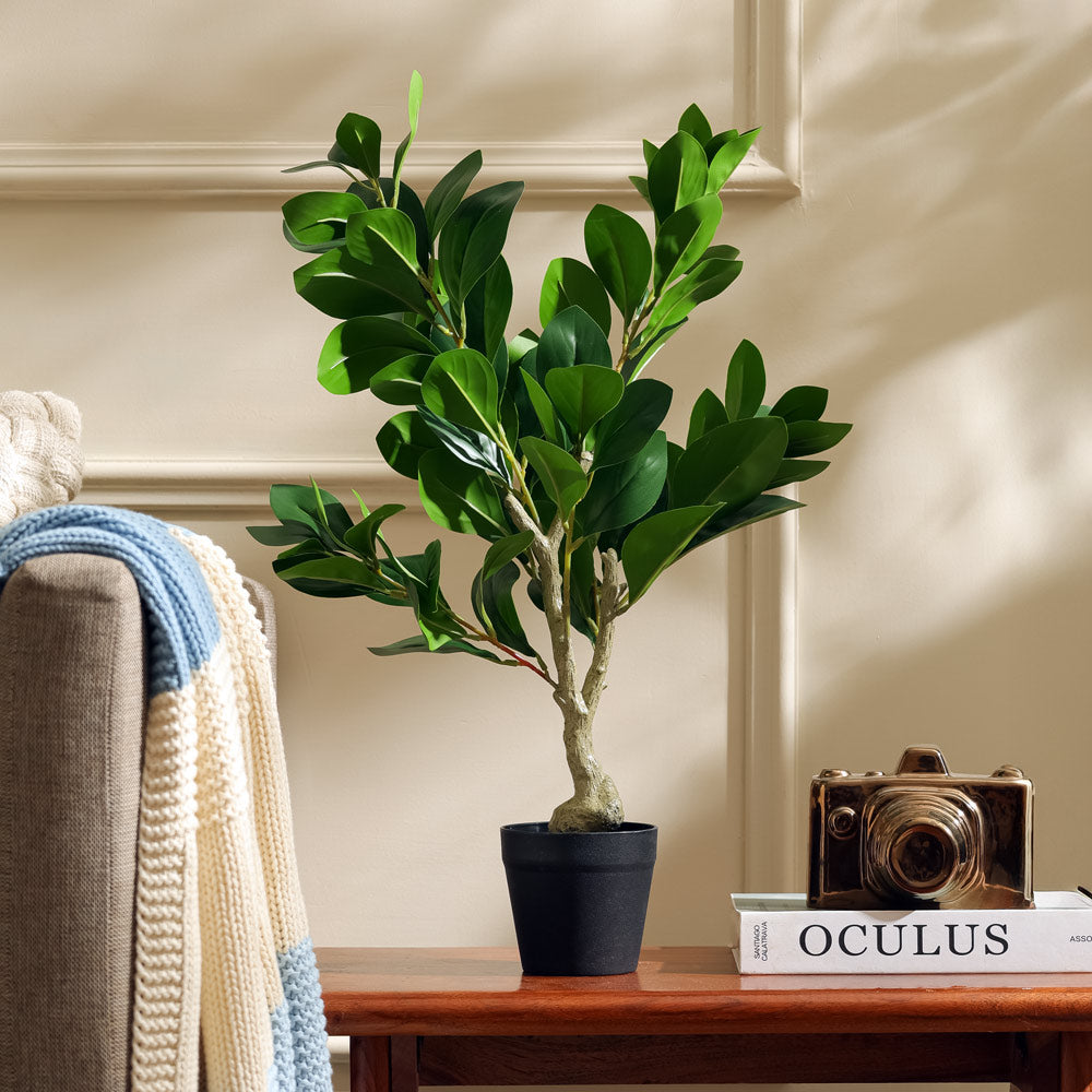 Peperomia Artificial Potted Plant - Small