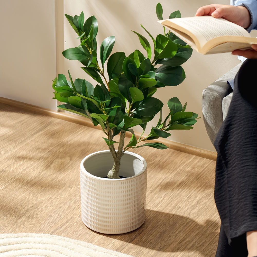 Peperomia Artificial Potted Plant - Small