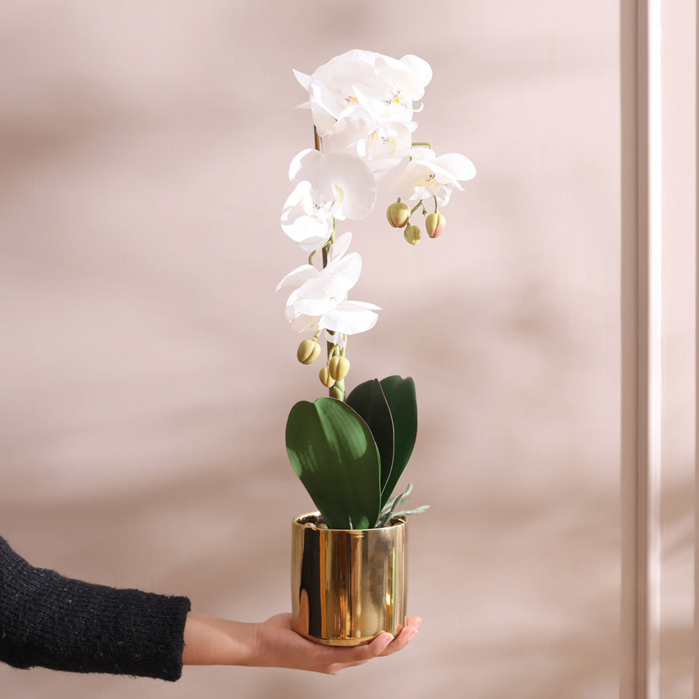 Phalaenopsis Orchid Artificial Potted Plant Medium - White