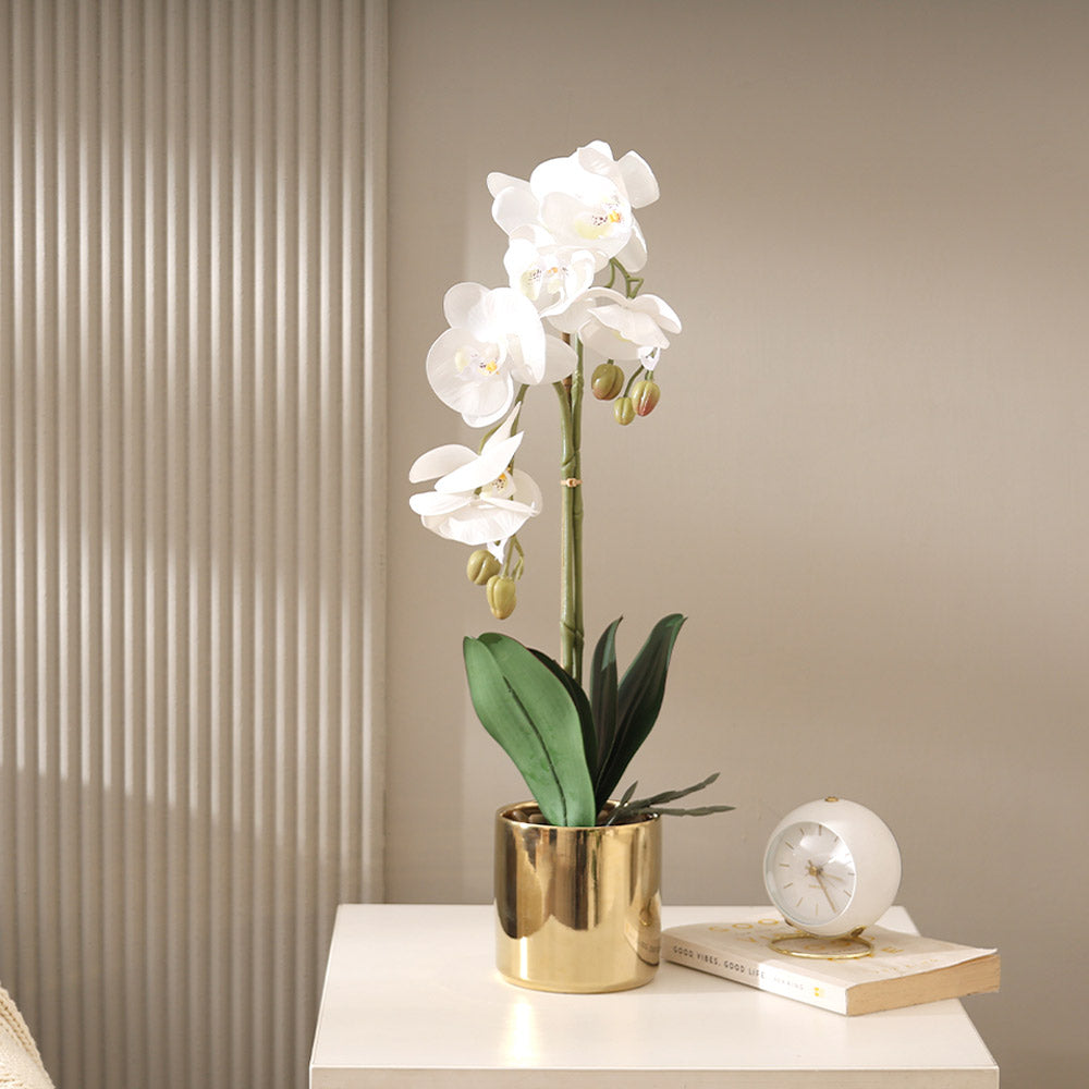 Phalaenopsis Orchid Artificial Potted Plant Medium - White
