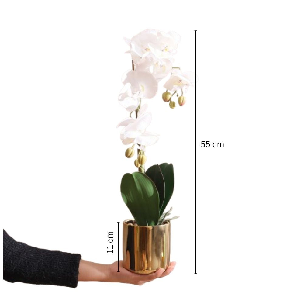 Phalaenopsis Orchid Artificial Potted Plant Medium - White