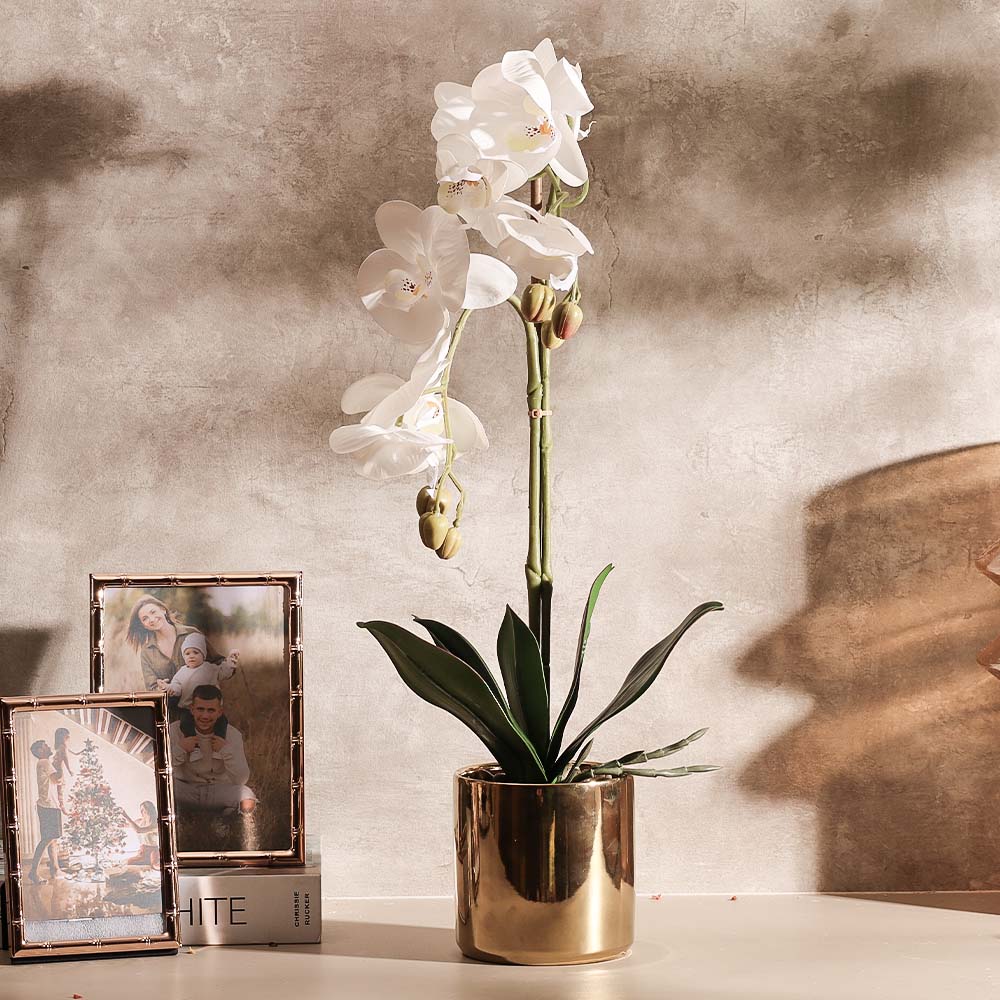 Phalaenopsis Orchid Artificial Potted Plant Medium - White