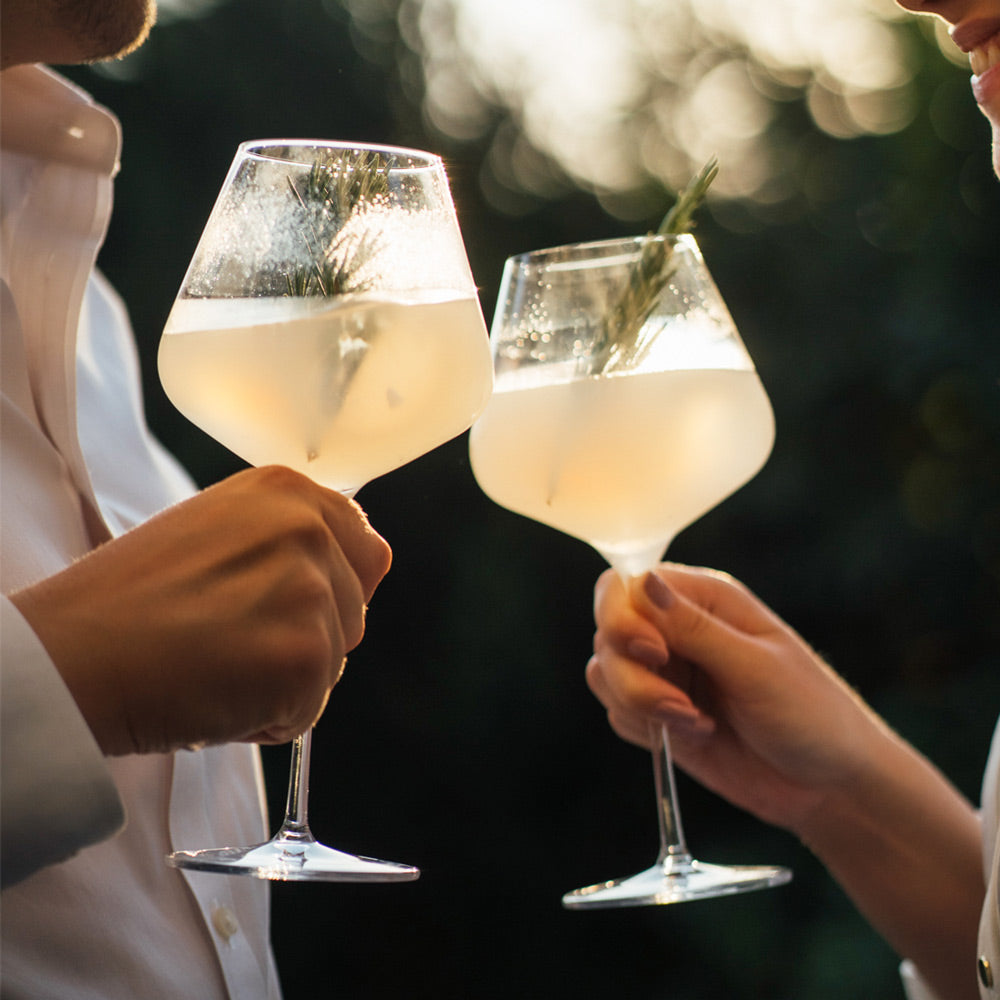 Quatrophil Burgundy Glasses 710ml, Set of 2