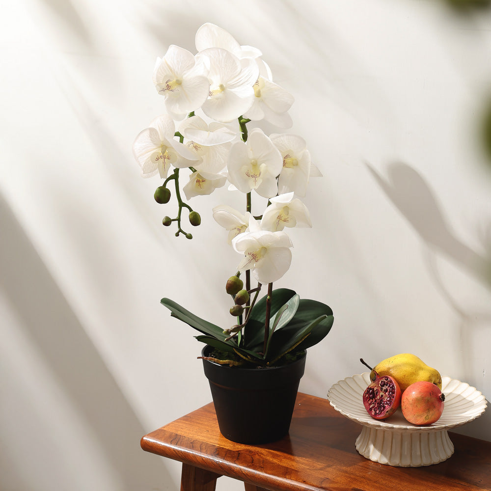Real Touch Orchid Artificial Potted Plant Tall - White