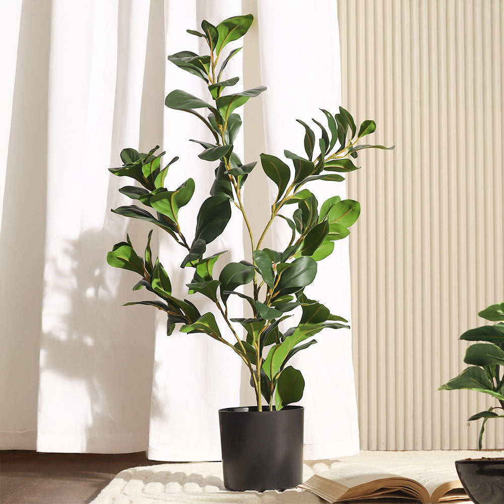 Peperomia Artificial Potted Plant - Medium