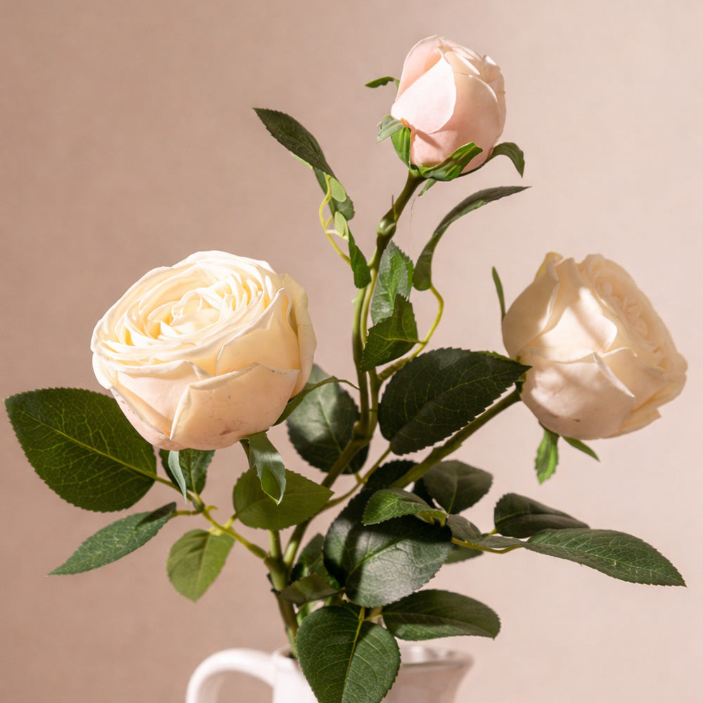 Royal Rose Faux Stem - Cream