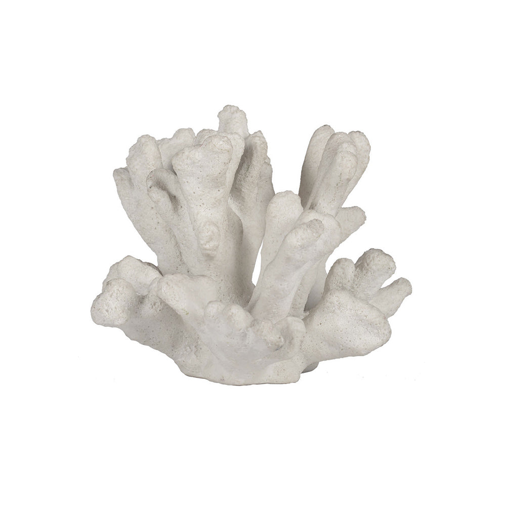 Sea Coral Decorative Sculpture - White