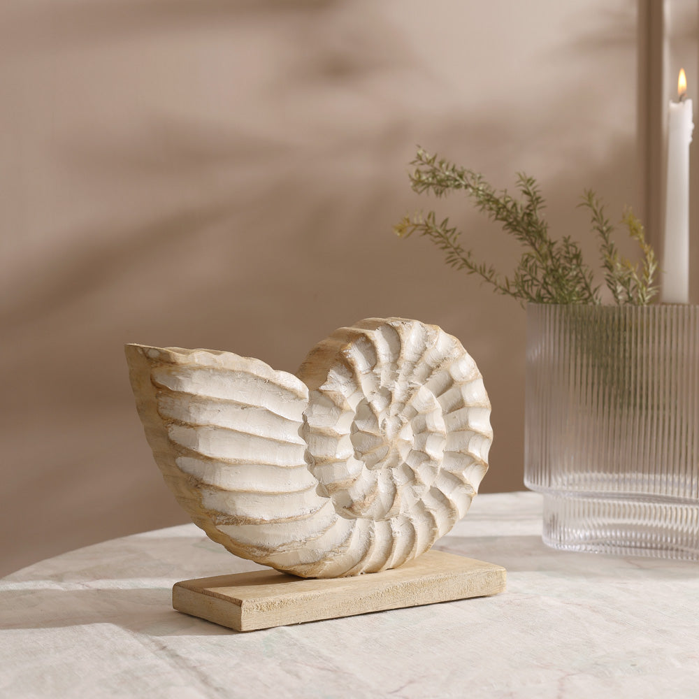 Seashell Mango Wood Sculpture Medium - Vintage White
