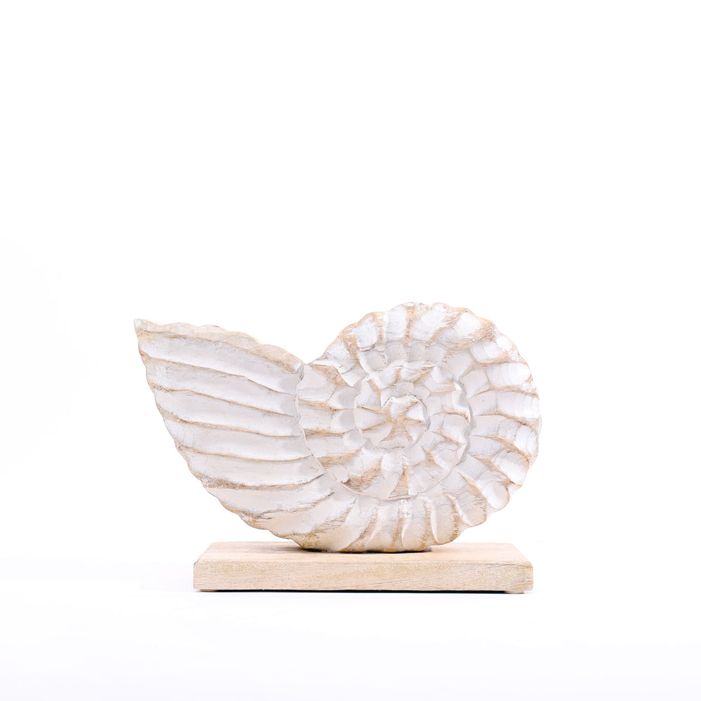 Seashell Mango Wood Sculpture Medium - Vintage White