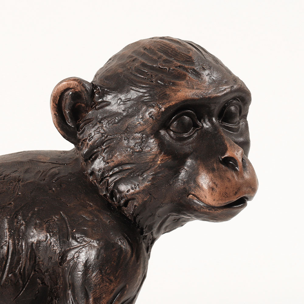 Sitting Monkey Sculpture Medium - Black Brown