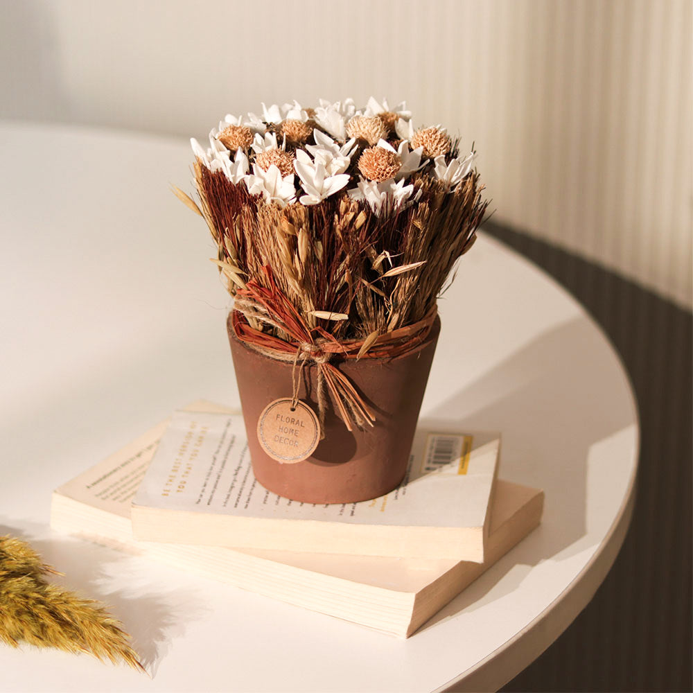Sola Potted Bouquet - White Beige