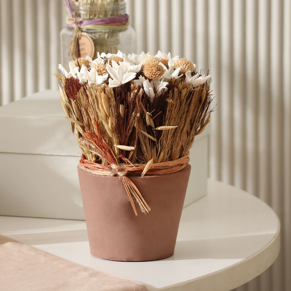 Sola Potted Bouquet - White Beige