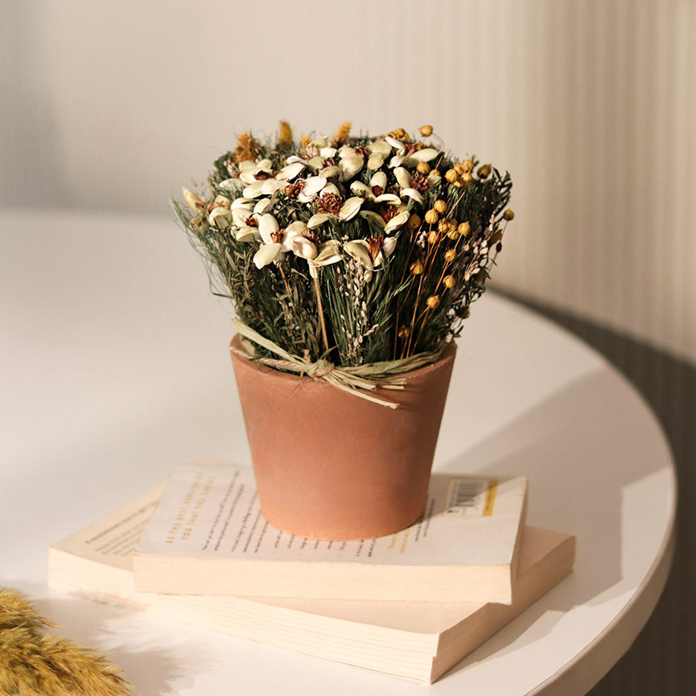 Sola Potted Bouquet - Yellow Green