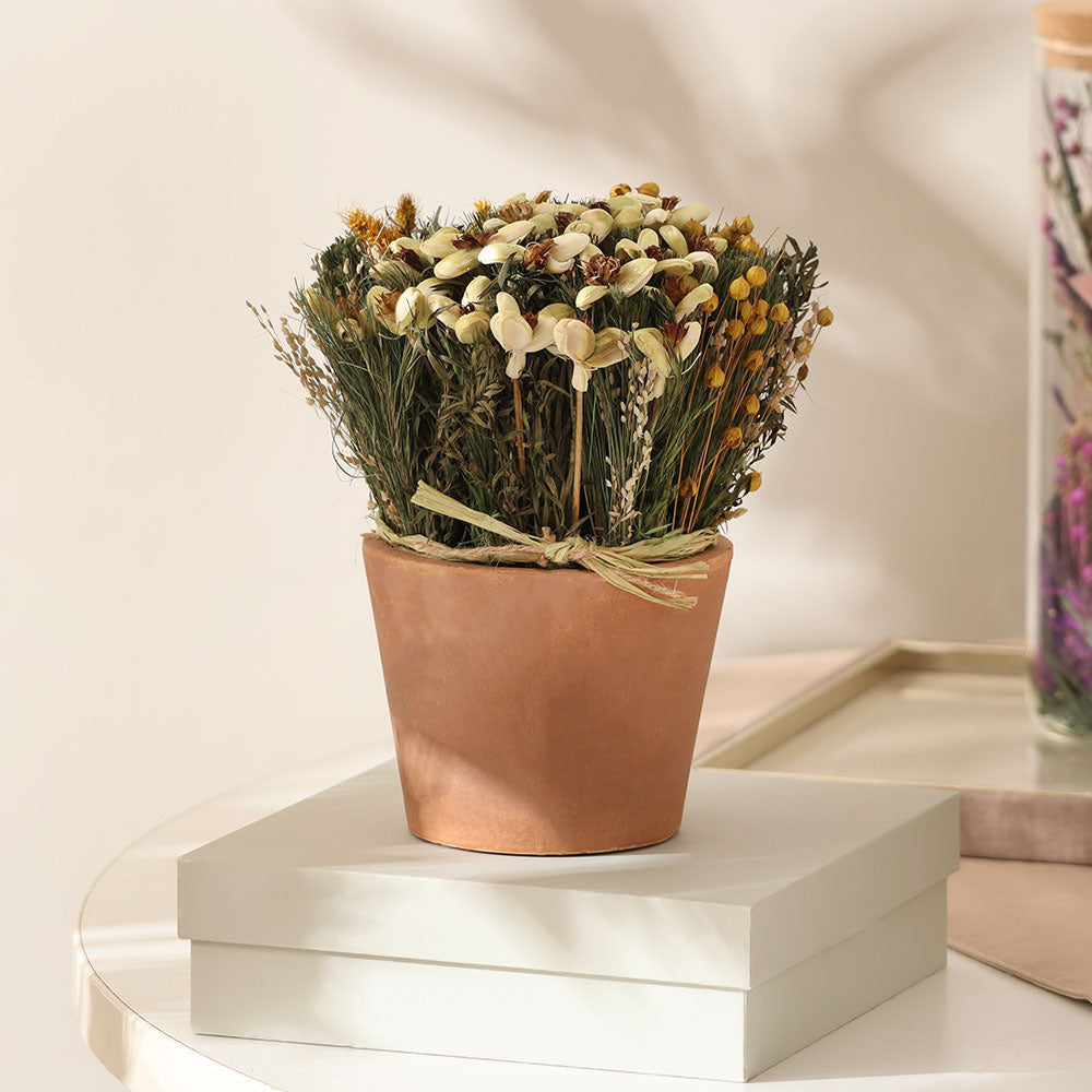 Sola Potted Bouquet - Yellow Green