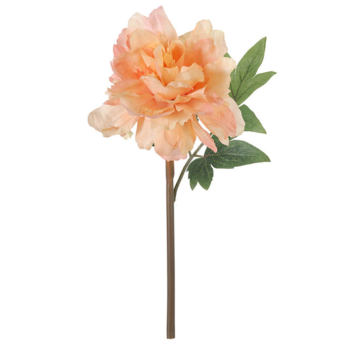 Solange Peony Faux Stem - Pale Orange