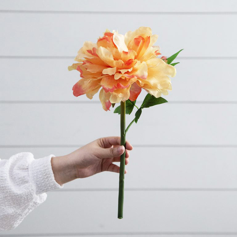 Solange Peony Faux Stem - Pale Orange