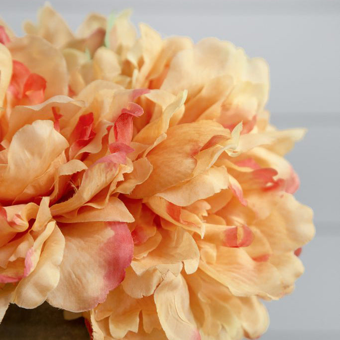 Solange Peony Faux Stem - Pale Orange
