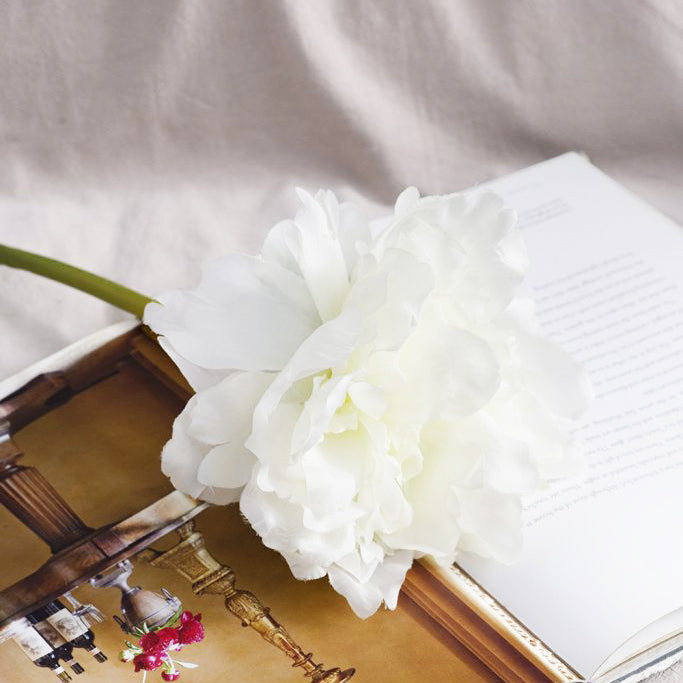 Solange Peony Faux Stem - White