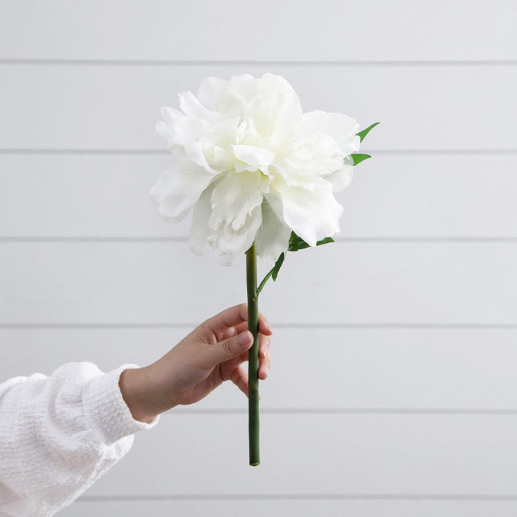 Solange Peony Faux Stem - White