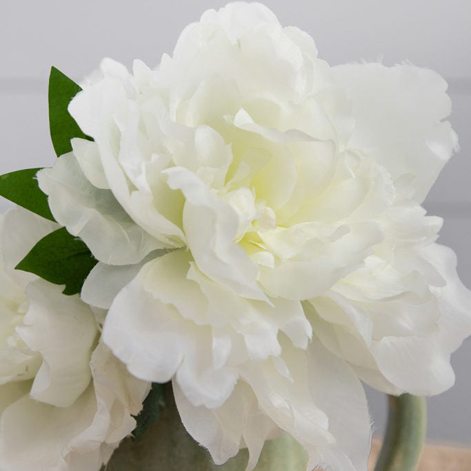 Solange Peony Faux Stem - White