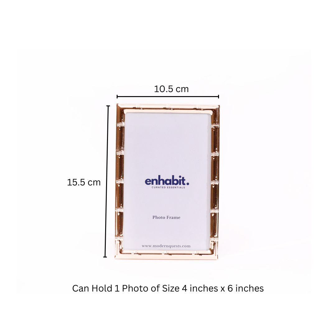Stalk Photo Frame Medium - Gold