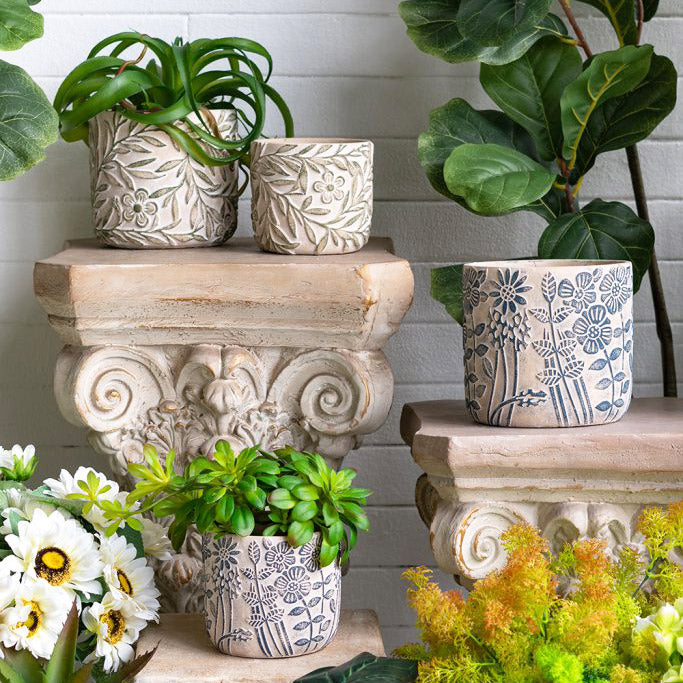 Tao Concrete Planters, Set of 2 - Blue Poppy