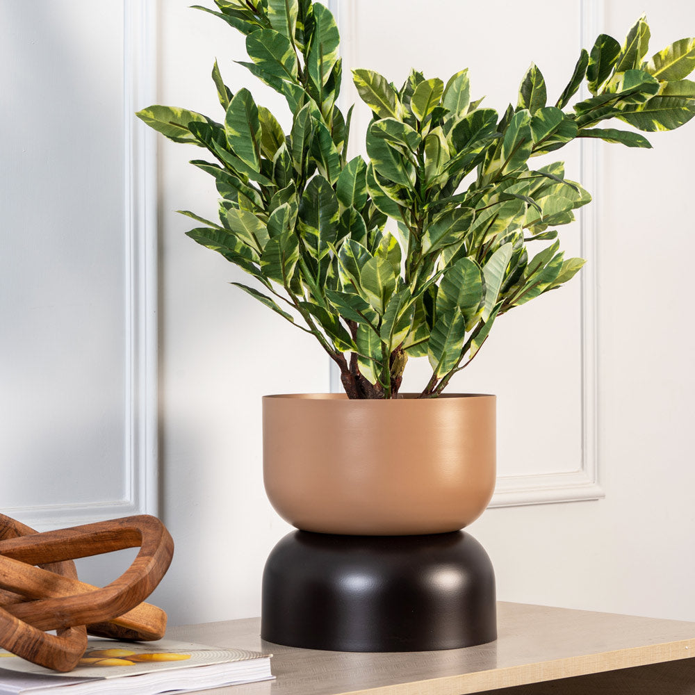 Taro Dual-Toned Planter - Mocha and Brown