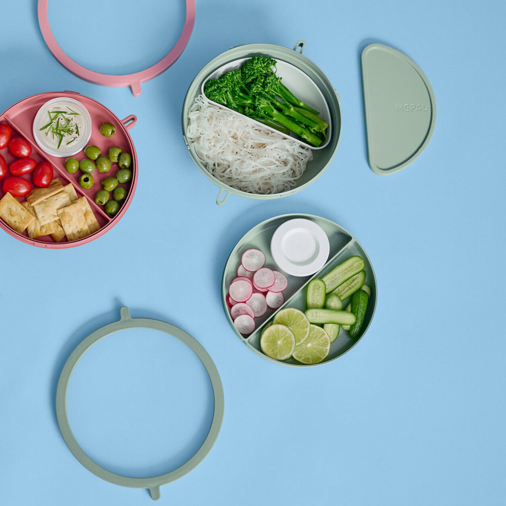 Vita Bento Lunch Bowl - Nordic Sage