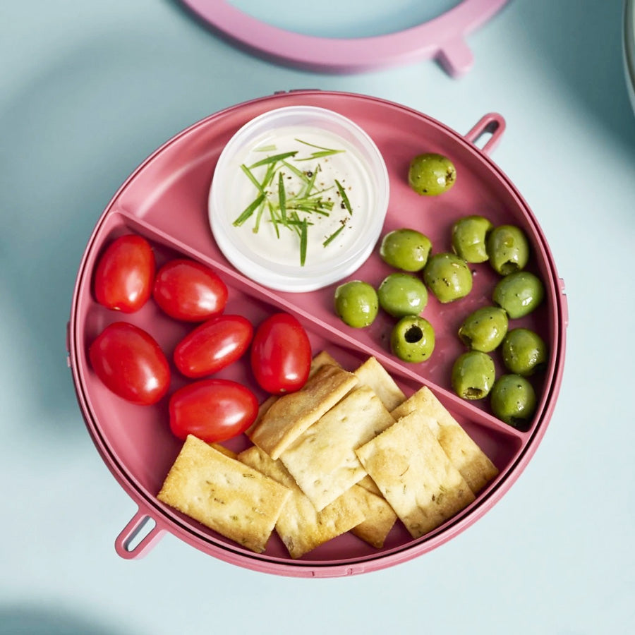 Vita Bento Lunch Bowl - Vivid Mauve