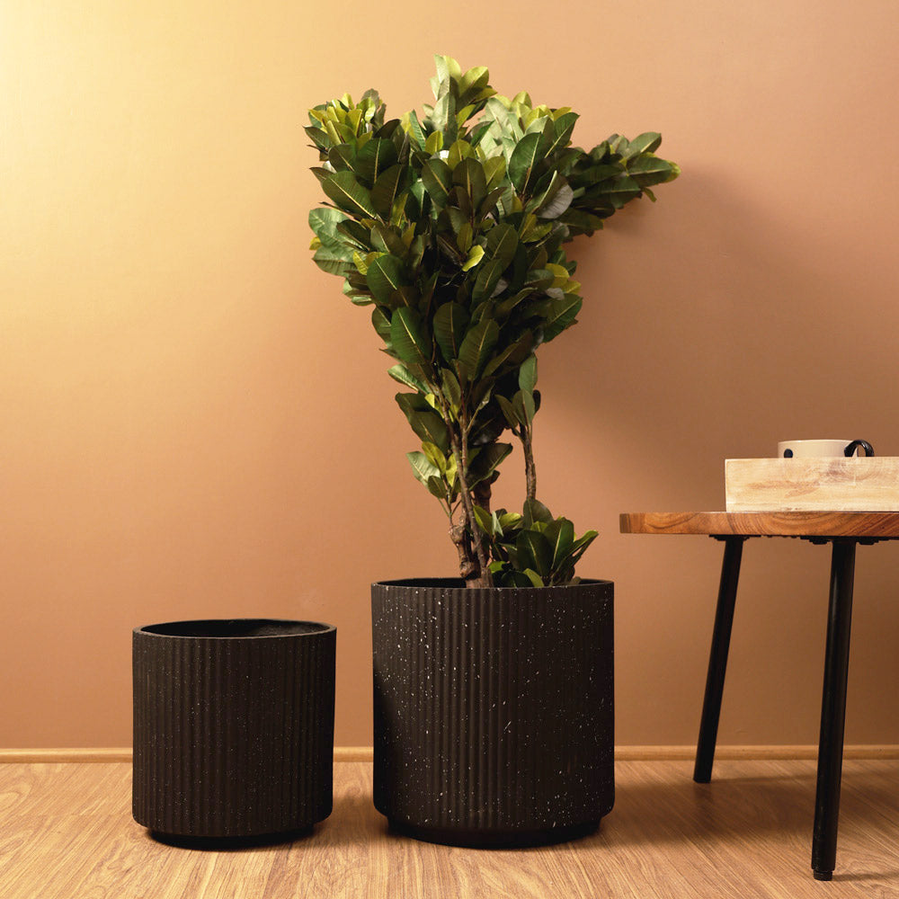 Zena Barrel Planters, Set of 2 - Speckled Black