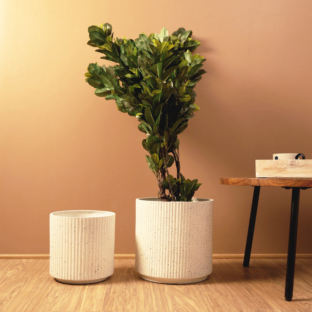 Zena Barrel Planters, Set of 2 - Speckled White